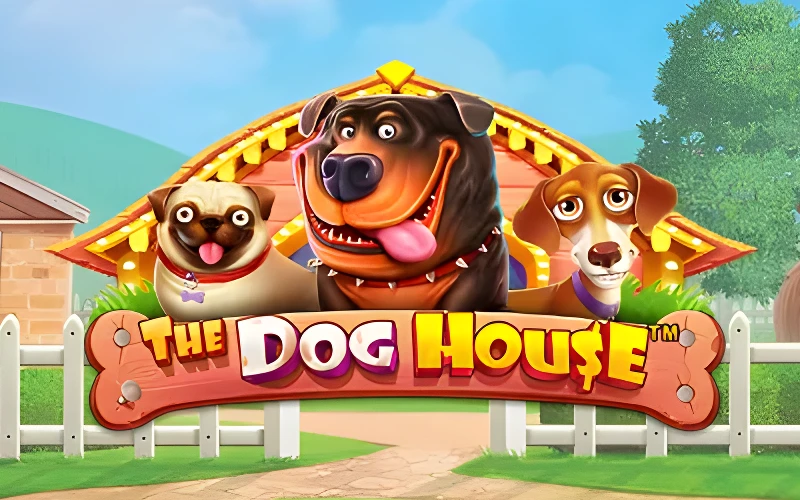 1win ofrece The Dog House con su mecánica sencilla.